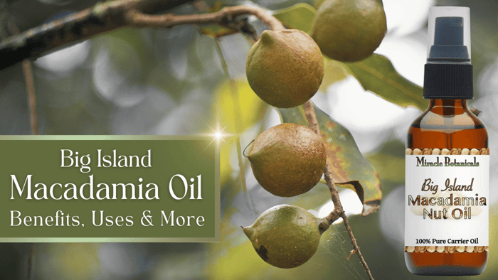 Macadamia Nut Oil Benefits