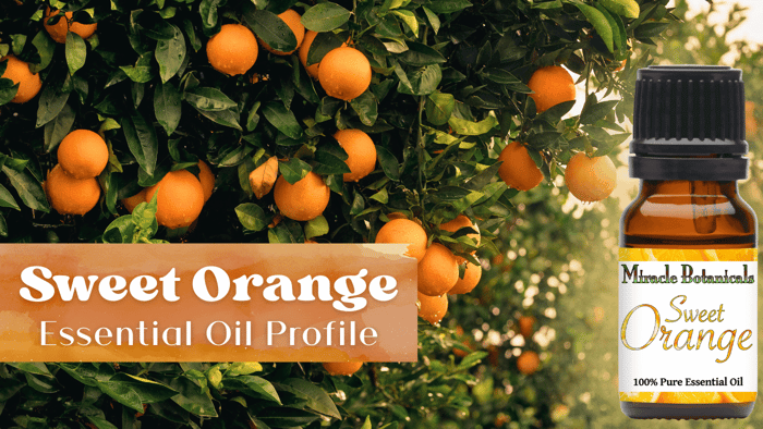 Raise Your Frequency with Sweet Orange Essential Oil