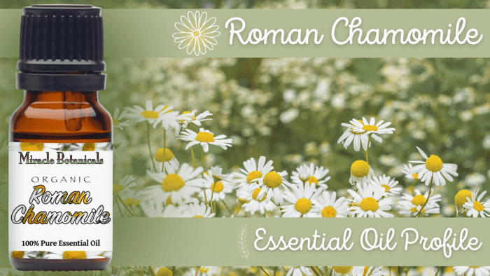 Roman Chamomile Essential Oil