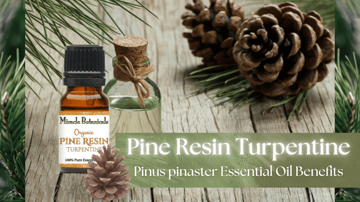 turpentine essential oil