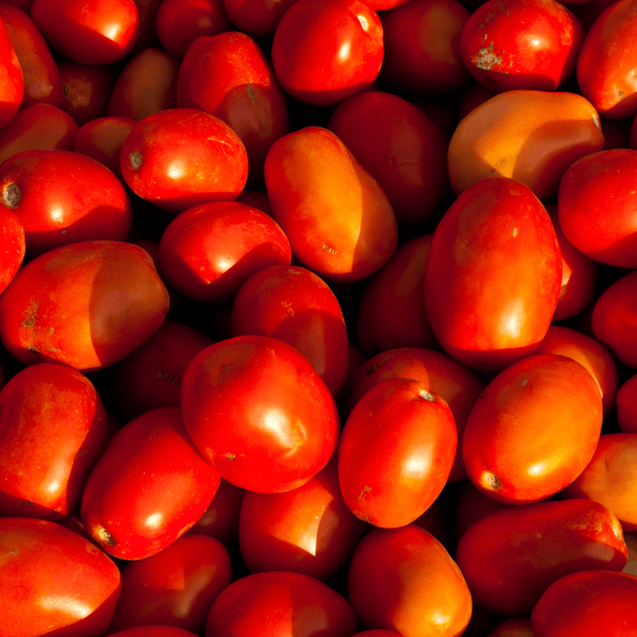 Best Determinate Tomatoes for Containers