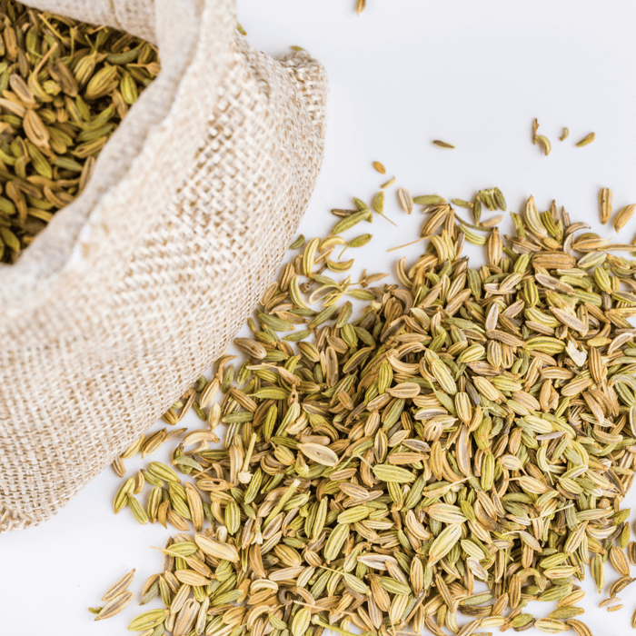 How To Grow a Seed in a Ziplock Bag