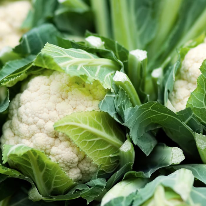 How to Grow Cauliflower From Seed - Comprehensive Guide