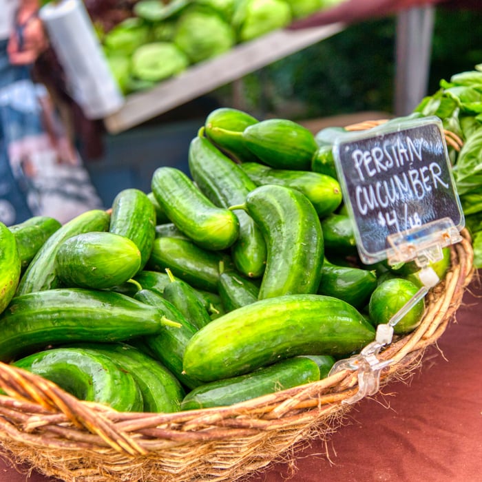 What is a Persian Cucumber: A Complete Guide