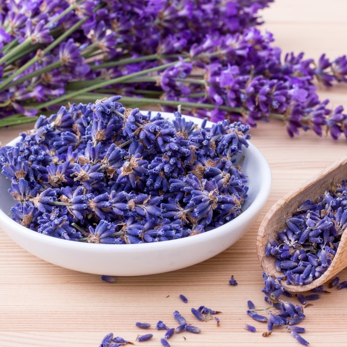 How to Grow Lavender From Seed - Complete Guide