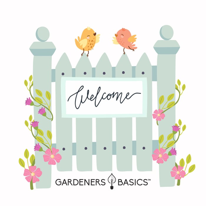 Welcome to Gardeners Basics!
