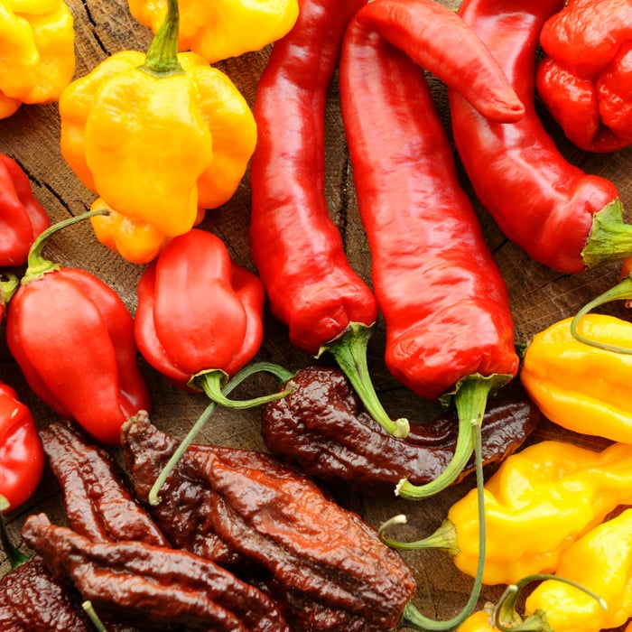 The Hottest Peppers in the World: Exploring Fiery Peppers