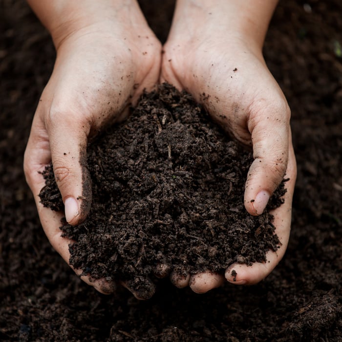 How To Fix Poor Draining Soil Guide