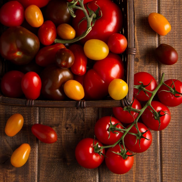 How to Grow Cherry Tomatoes From Seeds