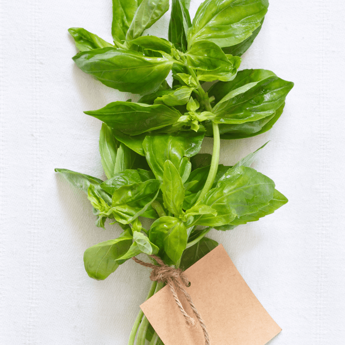 Are Basil and Bay Leaves the Same Thing? A Gardener's Guide