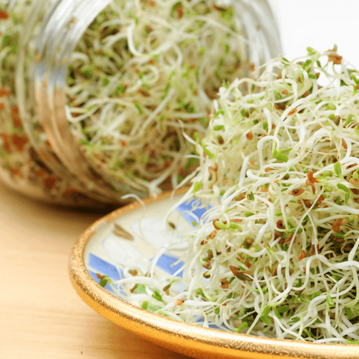 Best Seeds for Sprouting in a Jar: A Comprehensive Guide
