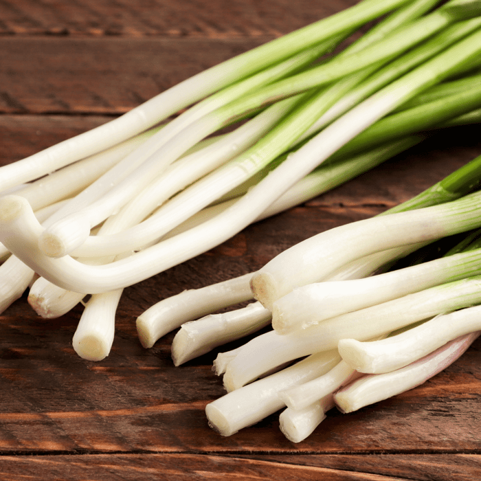 Growing Tokyo Long White Bunching Onion: A Complete Guide