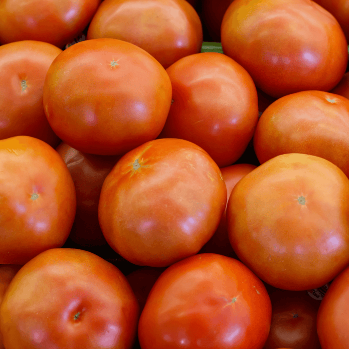 How to Grow Ace 55 Tomato From Seed: A Step-by-Step Guide