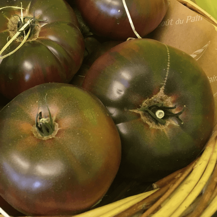 How to Grow Black Krim Tomatoes From Seed