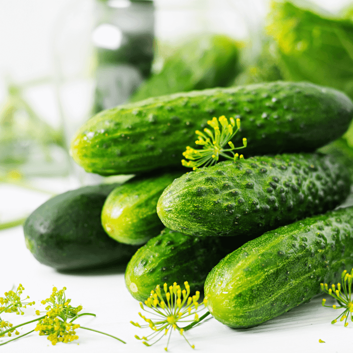 How to Grow Cucumbers in a Raised Bed