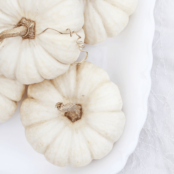 How to Grow Pumpkins in Florida