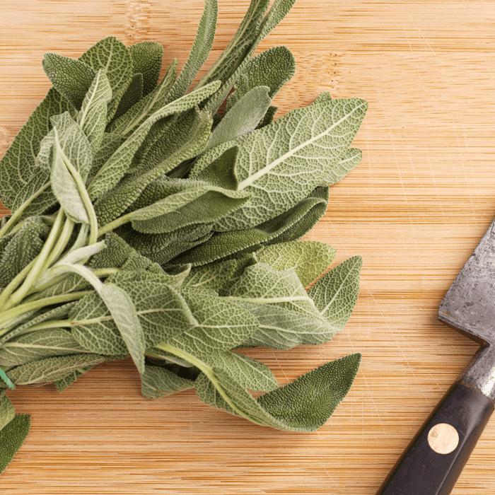 How to Grow Sage for Smudging Guide