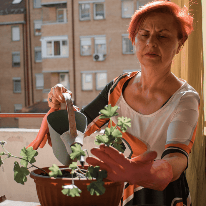 How to Start Gardening in an Apartment