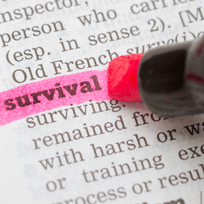 Survival Garden 101: How to Grow and Maintain a Self-Sufficient Food Source