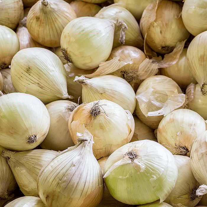 What are Short-Day Onions Complete Guide