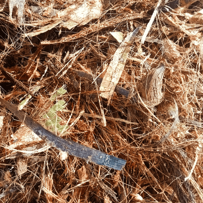 What is Coconut Coir?  A Complete Guide