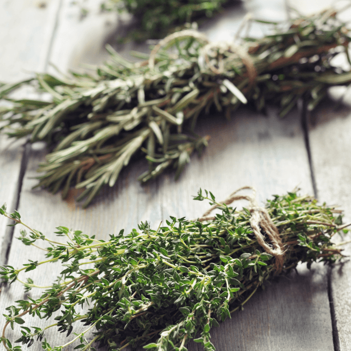 Are Rosemary and Thyme Similar? A Comprehensive Comparison