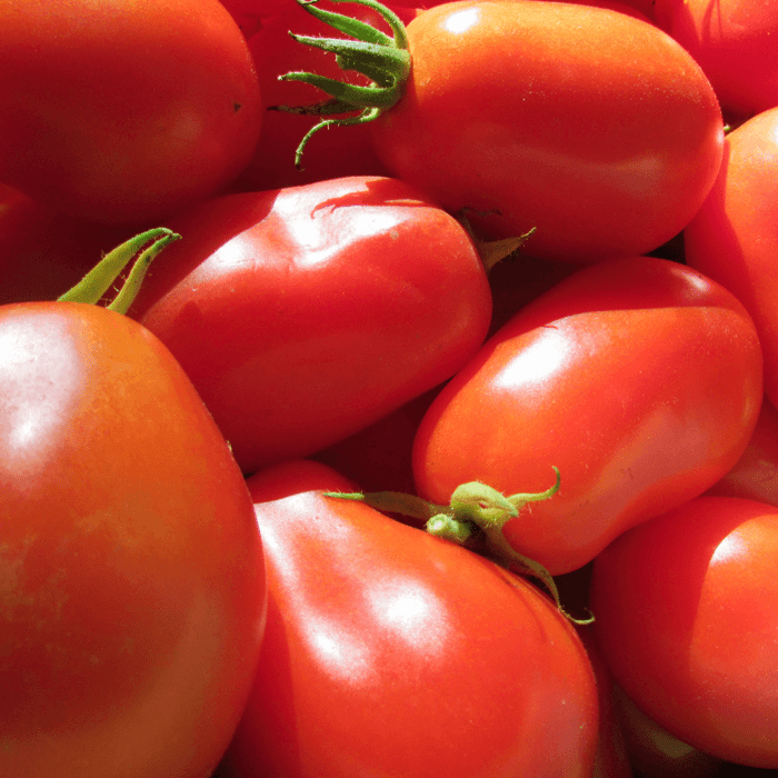 How to Grow San Marzano Tomatoes From Seeds
