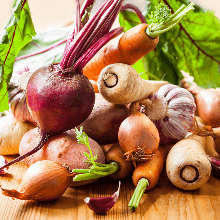 What is a Root Vegetable Considered in Gardening