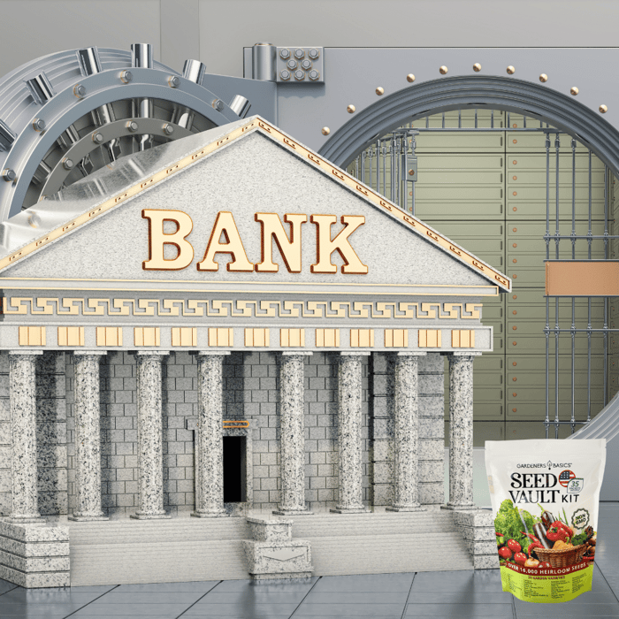 What is a Doomsday Seed Vault?