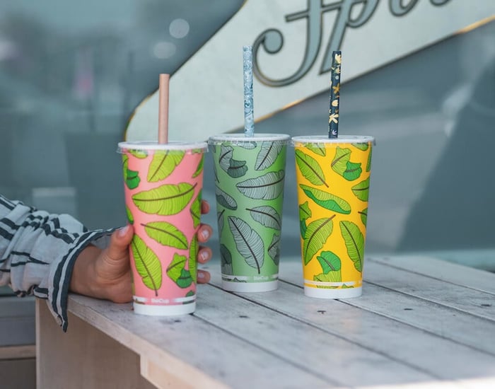 Disposable Cups: The Right Choice and The Perfect Fit