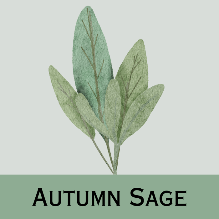 The beautiful faded green of Autumn Sage.
