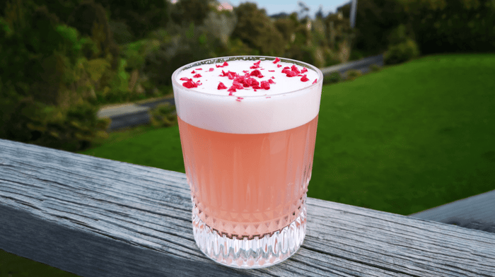 Elderflower Apple Gin Sour