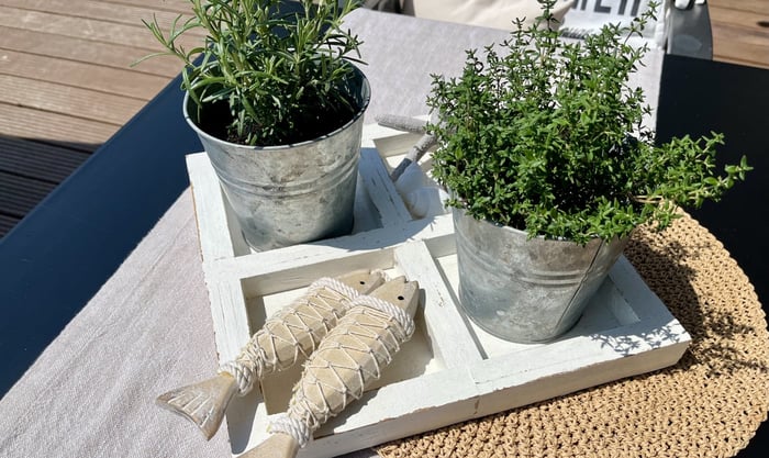 Easy-Sticks Bastelidee: Deko-Setzkasten im Shabby-Style