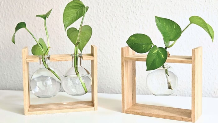 DIY Pflanzenvermehrungsstation aus Easy-Sticks – einfach selber bauen