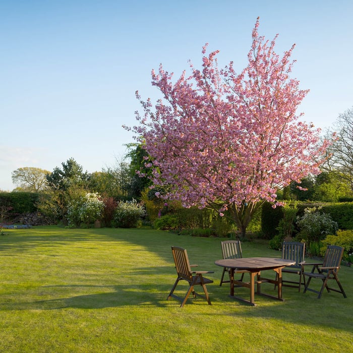 7 Tips for Preparing Your Garden for Spring