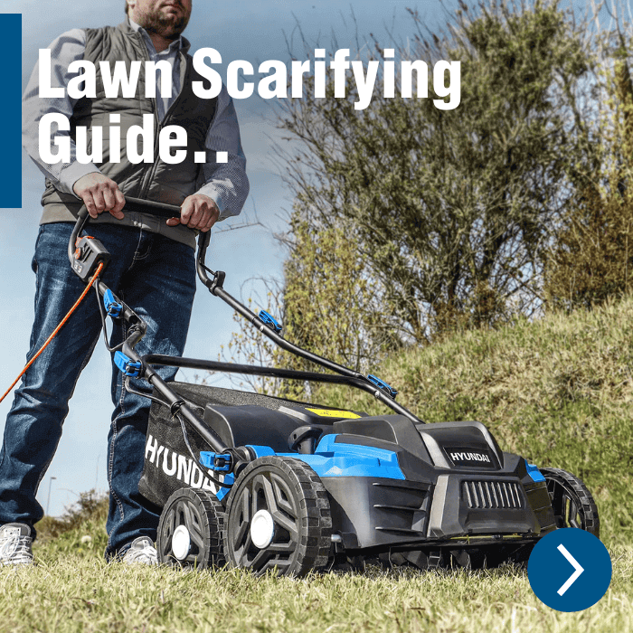 A Complete Guide to Scarifying Your Lawn