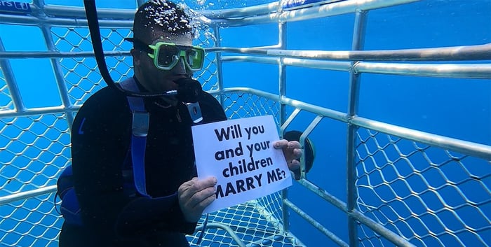 Proposal Stories: Shark Cage Proposal