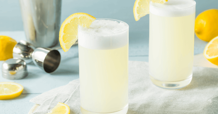 Ramos Gin Fizz Recipe for Elixir Mixer