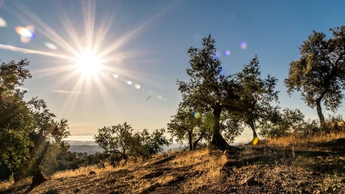 Spanish countryside in Summer