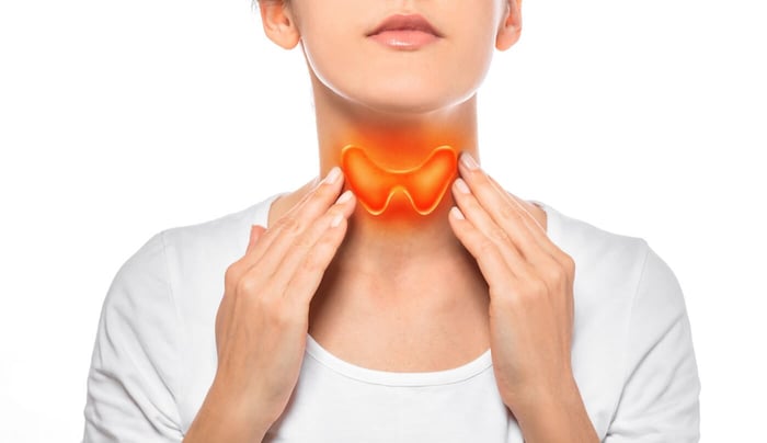 How To Maintain A Healthy Thyroid