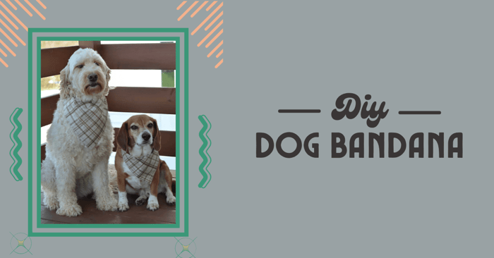 How to Make a Dog Bandana 2 Ways | Easy DIY Dog Bandanas