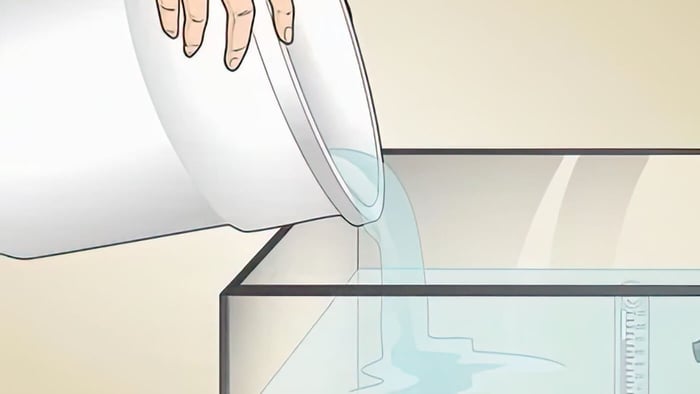 Reef Aquarium Maintenance Common Mistakes to Avoid