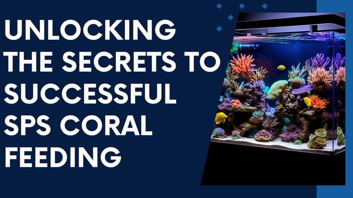 Unlocking the Secrets to Successful SPS Coral Feeding