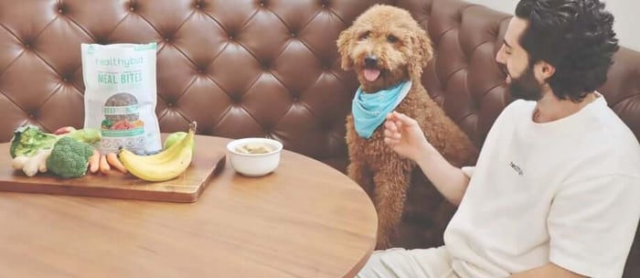 Human foods dogs can eat to reduce anxiety