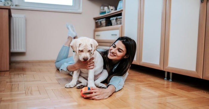 Top 5 Indoor Games & Exercises For Your Dog