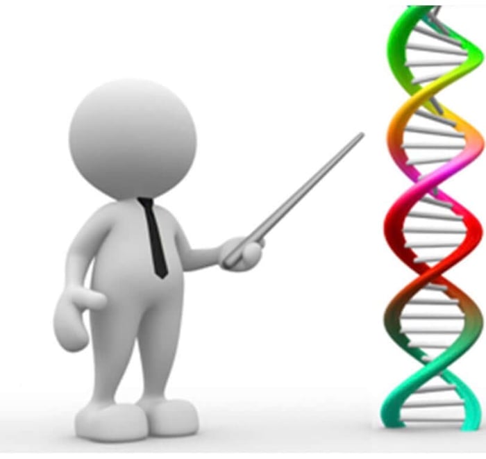 Epigenetics Can Save Lives