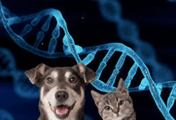 Nutrition is More Important than DNA