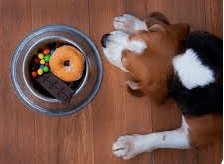Do you trust a candy company with your dog's life?