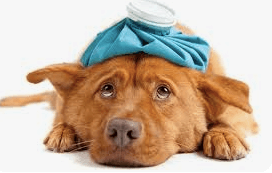 Chronic Illness is the New Normal and Should NOT Be