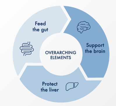 Feed the Gut, Protect the Liver and Support the Brain